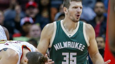 mirza-teletovic