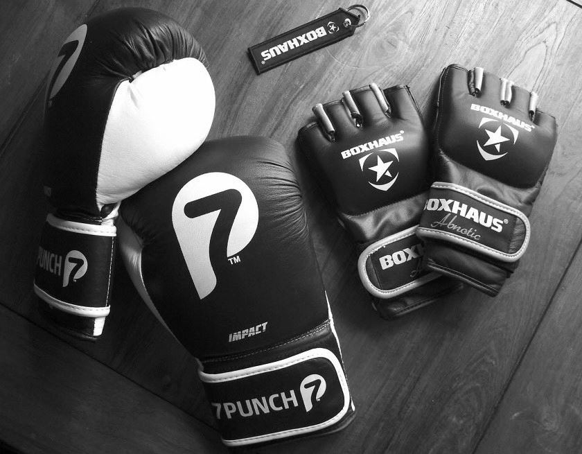 Rukavice za kickbox