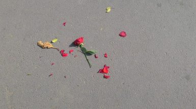 ljubav