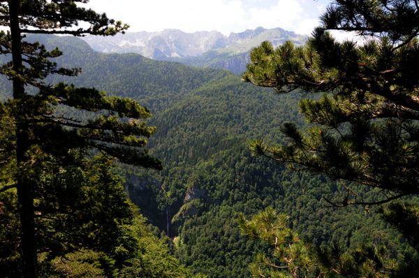 Np_sutjeska_prasuma_perucica_vodopad_skakavac